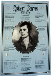 Cotton Tea Towel