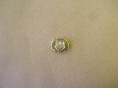 Masonic Lapel Pin